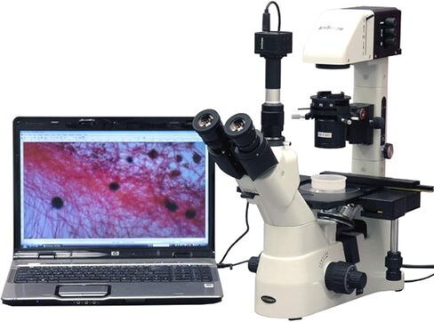 AmScope IN480TC-8M Digital Long Working-Distance Inverted Trinocular Microscope, 40x-1500x, WH10x Plan and WH25x Super-Widefield Eyepieces, Brightfield and Phase-Contrast Objectives, 30W Halogen Illumination, 0.3 NA Kohler Condenser, Mechanical Stage, 90  in Saudi Arabia