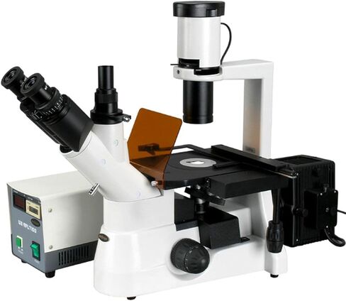 AmScope IN300TC-FL Long Working Distance Inverted Fluorescence Trinocular Microscope, 40x-1000x, WH10x and WH25x Eyepieces, Phase-Contrast Objectives, 30W Halogen Illumination, 0.3 NA Abbe Condenser, Mechanical Stage, 110V in Saudi Arabia