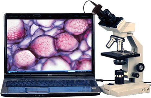 AmScope B100B-M Digital Compound Binocular Microscope, 40X-2000X Magnification, Brightfield, Tungsten Illumination, Abbe Condenser, Plain Stage, Includes 1.3MP Camera with Reduction Lens and Software in Saudi Arabia