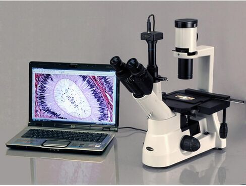AmScope IN300TC-5MA Digital Long Working Distance Inverted Trinocular Microscope, 40x-1000x, WH10x and WH25x Eyepieces, Phase-Contrast Objectives, 30W Halogen Illumination, 0.3 NA Abbe Condenser, Mechanical Stage, 110V, Includes 5MP Camera with Reduction  in Saudi Arabia