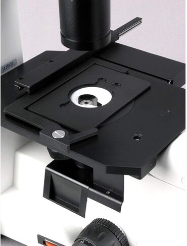 AmScope IN300TC Long Working Distance Inverted Trinocular Microscope, 40x-1000x, WH10x and WH25x Eyepieces, Phase-Contrast Objectives, 30W Halogen Illumination, 0.3 NA Abbe Condenser, Mechanical Stage, 110V in Saudi Arabia