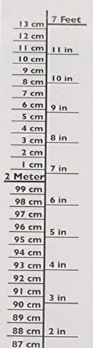 Best Growth Chart Decal 0 to 7 feet DIY Peel and Stick Black & White Backdrop Height Ruler on Wall, Door, Anywhere for Infants Kids Children and Young Adults to Measure cm and inches in Saudi Arabia