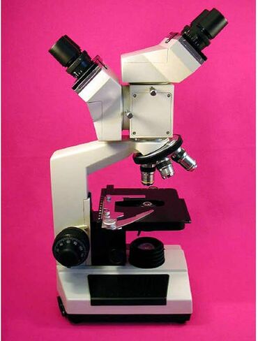AmScope D200A مجهر مركب ثنائي الرؤية، أهداف WF10x وWF16x، تكبير 40X-1600X، Brightfield، مكثف NA Abbe 1.25، مرحلة ميكانيكية، مضاد للعفن in Saudi Arabia