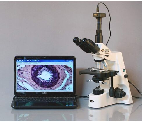مجهر مركب ثلاثي العينيات AmScope T690A، تكبير 40X-1500X، عدسات WH10x وWH15x فائقة العرض، أهداف إنفينيتي، برايتفيلد، مكثف كوهلر، مرحلة ميكانيكية مزدوجة الطبقة in Saudi Arabia