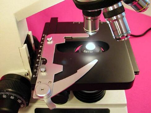 AmScope Two-Observing Compound Microscope 40x-1000x in Saudi Arabia