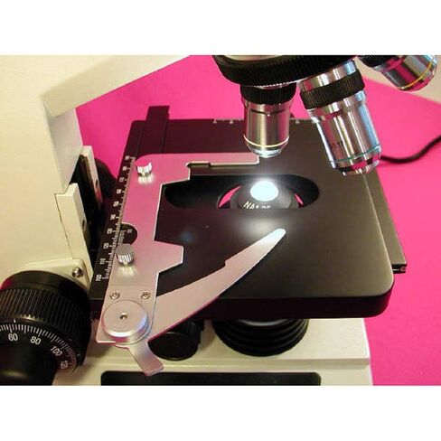 AmScope Two-Observing Compound Microscope 40x-1000x in Saudi Arabia