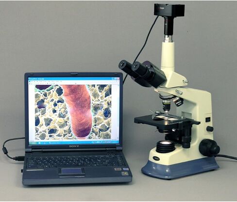 AmScope T590A Professional Compound Trinocular Microscope, WF10x and WF16x Eyepieces, 40X-1600X Magnification, High-Contrast Objectives, Brightfield, Halogen Illumination, Abbe Condenser, Double-Layer Mechanical Stage, Anti-Mold, 110V in Saudi Arabia