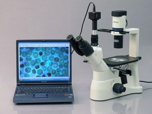 AmScope IN400T-8M مجهر ثلاثي العينيات مقلوب رقمي طويل المسافة، 40x-600x، عدسات WH10x فائقة الاتساع، أهداف برايتفيلد وتباين الطور، إضاءة هالوجين 30 وات، مكثف NA Abbe 0.3، مرحلة عادية، 90 إلى 240 فولت، تتضمن 8 ميجابكسل Ca in Saudi Arabia