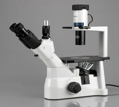 AmScope IN400T-8M مجهر ثلاثي العينيات مقلوب رقمي طويل المسافة، 40x-600x، عدسات WH10x فائقة الاتساع، أهداف برايتفيلد وتباين الطور، إضاءة هالوجين 30 وات، مكثف NA Abbe 0.3، مرحلة عادية، 90 إلى 240 فولت، تتضمن 8 ميجابكسل Ca in Saudi Arabia