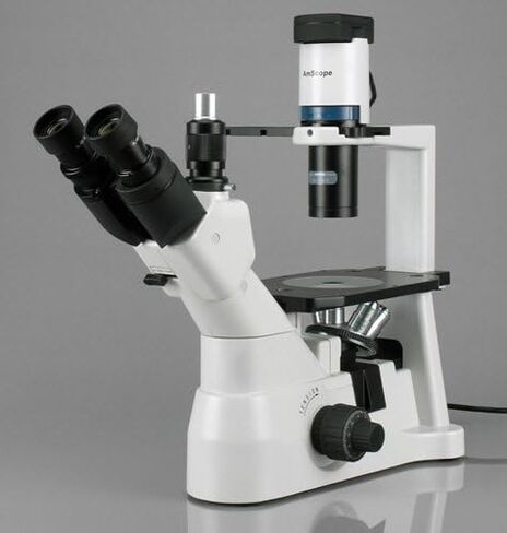 AmScope IN400T-8M مجهر ثلاثي العينيات مقلوب رقمي طويل المسافة، 40x-600x، عدسات WH10x فائقة الاتساع، أهداف برايتفيلد وتباين الطور، إضاءة هالوجين 30 وات، مكثف NA Abbe 0.3، مرحلة عادية، 90 إلى 240 فولت، تتضمن 8 ميجابكسل Ca in Saudi Arabia