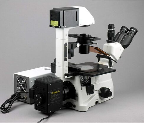 AmScope IN480TA-FL Long Working-Distance Inverted Fluorescence Trinocular Microscope, 40x-900x, WH10x Plan and WH15x Super-Widefield Eyepieces, Brightfield and Phase-Contrast Objectives, 30W Halogen Illumination, 0.3/0.5 NA Kohler Condenser, Mechanical St in Saudi Arabia