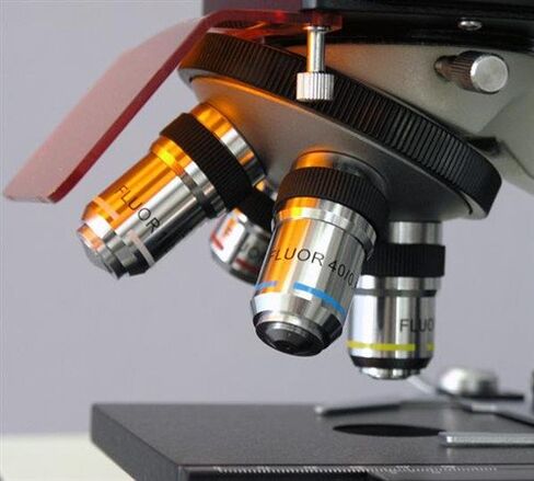 AmScope Binocular Compound Microscope EPI - Fluorescence in Saudi Arabia