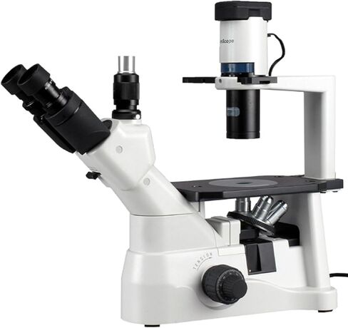 AmScope IN400T مجهر ثلاثي العينيات مقلوب لمسافة عمل طويلة، 40x-600x، عدسات WH10x فائقة الاتساع، أهداف Brightfield وتباين الطور، إضاءة هالوجين 30 وات، مكثف NA Abbe 0.3، مرحلة عادية، 90 إلى 240 فولت in Saudi Arabia