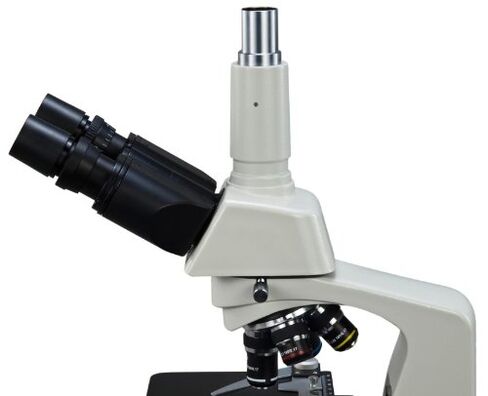 40x~2000x LED Trinocular Compound Microscope, Reversed Nosepiece in Saudi Arabia