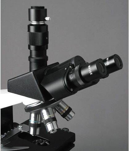 AmScope T490A مجهر ثلاثي العينيات المركب، عدسات WF10x وWF16x، تكبير 40X-1600X، برايتفيلد، إضاءة هالوجين، مكثف آبي، مسرح ميكانيكي مزدوج الطبقة، رأس منزلق، بصريات عالية الدقة in Saudi Arabia
