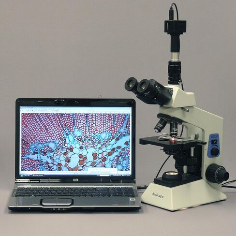 AmScope المهنية البحوث البيولوجية المجهر المركب in Saudi Arabia
