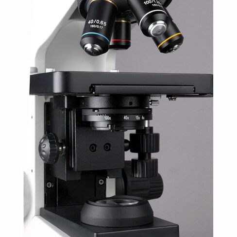 AmScope المهنية البحوث البيولوجية المجهر المركب in Saudi Arabia