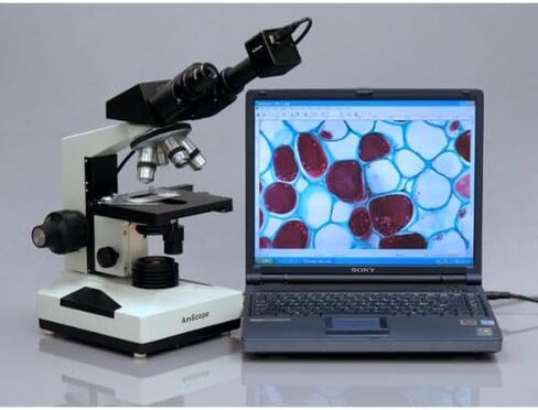 AmScope B490A Compound Binocular Microscope, WF10x and WF16x Eyepieces, 40X-1600X Magnification, Brightfield, Halogen Illumination, Abbe Condenser, Double-Layer Mechanical Stage, Sliding Head, High-Resolution Optics, Anti-Mold in Saudi Arabia