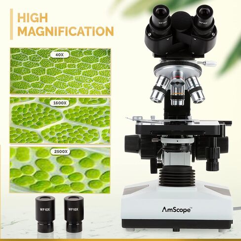 AmScope B490A-DK Compound Binocular Microscope, WF10x and WF16x Eyepieces, 40X-1600X Magnification, Brightfield/Darkfield (BF/DF), Halogen Illumination, Abbe Condenser, Double-Layer Mechanical Stage, Sliding Head, High-Resolution Optics, Anti-Mold in Saudi Arabia