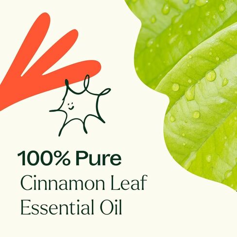 زيت أوراق القرفة العطري العطري من بلانت ثيرابي، 10 مل (14 مل) نقي 100%، غير مخفف، درجة علاجية in Saudi Arabia