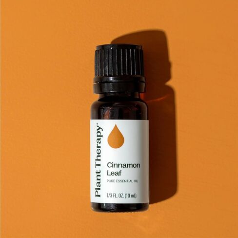 زيت أوراق القرفة العطري العطري من بلانت ثيرابي، 10 مل (14 مل) نقي 100%، غير مخفف، درجة علاجية in Saudi Arabia