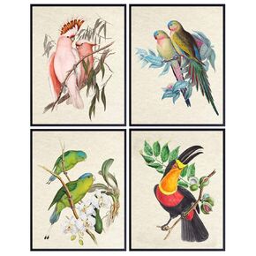 Tropical Bird Art 11x14 - Exotic Parrot, Lovebird, Toucan, Cockatoo Wall Decor - Vintage Audubon Birdwatcher Gifts - Parakeet Wall Art - Tropical Wall Decorations - Bird Wall Decor - Bird Wall Art