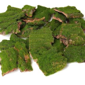 BYHER Assorted Artificial Moss Bark, Decorative Mossy Tree Bark for DIY Crafts, Fairy Gardens, Terrariums, Floral Arrangements (Realistic Green - 100gr)