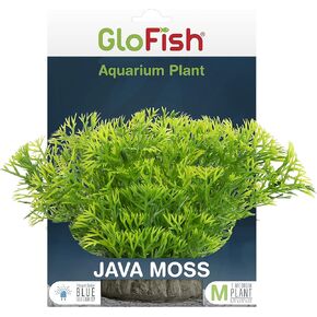 ديكور حوض السمك للنباتات GloFish in Kuwait