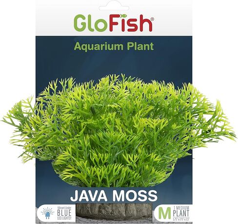 ديكور حوض السمك للنباتات GloFish in Kuwait