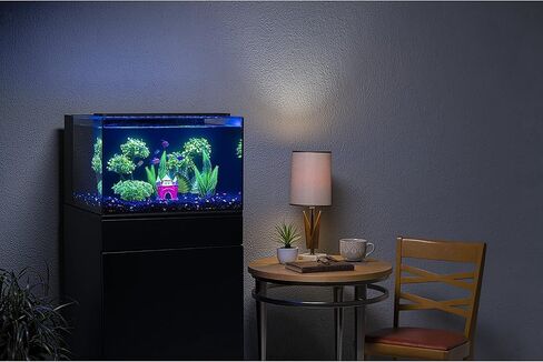 ديكور حوض السمك للنباتات GloFish in Kuwait