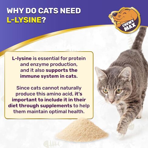 L Lysine for Cats for Respiratory & Immune Support – Cat Antibiotic to Help with Watery Eyes, Cough, Runny Nose, Sneezing – Taurine & Vitamins for Kittens & Senior Ones – Chicken Flavor – 2-Oz Drops in Saudi Arabia