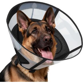 Soft Dog Cone Collar for Large Dogs, Mesh Windows Transparent E Collar for Dog, Anti-Bite Lick Wound Healing After Surgery Neuter Safety Practical Comfy Plastic Cone Black L in Saudi Arabia