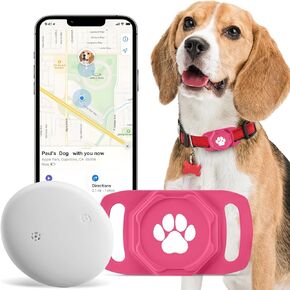 جهاز تعقب الحيوانات الأليفة الذكي للطوق - جهاز تعقب موقع الحيوانات الأليفة مع حامل، بدون رسوم شهرية، متوافق مع Apple Airtag Find My (iOS فقط، وليس لنظام Android)، جهاز مضاد لفقدان الحيوانات الأليفة، أشرطة الحقيبة in Kuwait