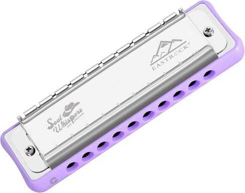 EASTROCK 10 Holes All-metal Professional Harmonica,Diatonic Mouth Organ Harmonica for Adults, Key of C Harmonica for Beginners and Students in Saudi Arabia
