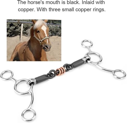 Horse Chewing, Stainless Steel Gag Bit with Black Steel Mouthpiece in Saudi Arabia