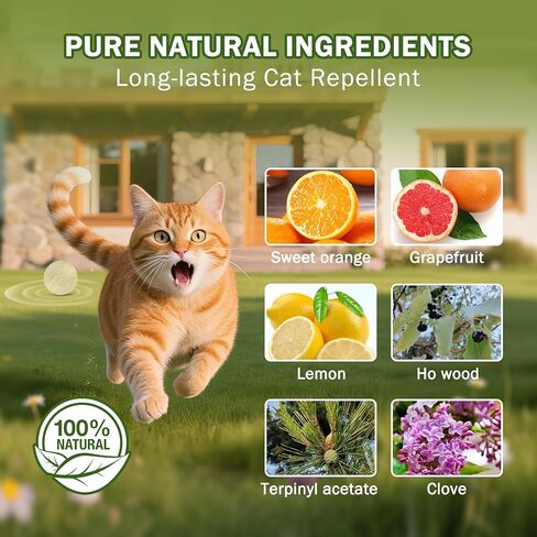 10Pack Cat Repellent Outdoor & Indoor: Natural Cat Deterrent Essential Oils Ball-Natural Extract Essential Oil, Anti Cat Scratch for Furniture, Keep Cats Off Yard Garden Lawn Plants Trash Can (10Pack) in Kuwait