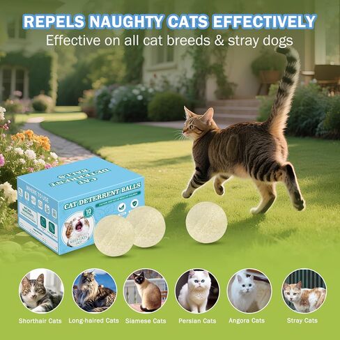 10Pack Cat Repellent Outdoor & Indoor: Natural Cat Deterrent Essential Oils Ball-Natural Extract Essential Oil, Anti Cat Scratch for Furniture, Keep Cats Off Yard Garden Lawn Plants Trash Can (10Pack) in Kuwait