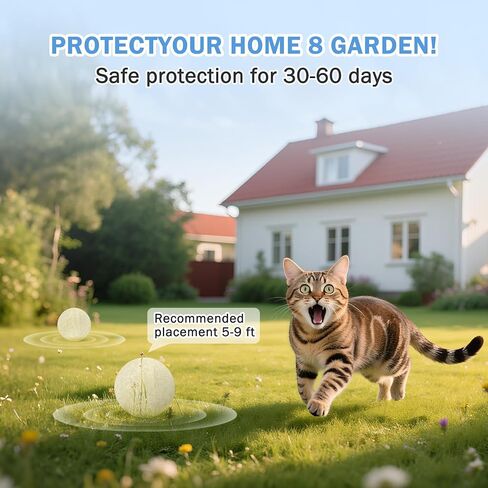 10Pack Cat Repellent Outdoor & Indoor: Natural Cat Deterrent Essential Oils Ball-Natural Extract Essential Oil, Anti Cat Scratch for Furniture, Keep Cats Off Yard Garden Lawn Plants Trash Can (10Pack) in Kuwait