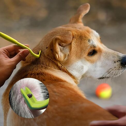 Tick Remover Tool - Safe & Easy Tick Remover for Humans and Pets - Effective Tick Remover for Cats and Dogs - Small to XL Tick Removal Tool for Dogs - Twist & Pull Tick Removal Kit (Set of 5) in Saudi Arabia