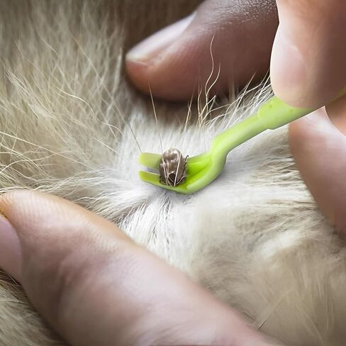 Tick Remover Tool - Safe & Easy Tick Remover for Humans and Pets - Effective Tick Remover for Cats and Dogs - Small to XL Tick Removal Tool for Dogs - Twist & Pull Tick Removal Kit (Set of 5) in Saudi Arabia