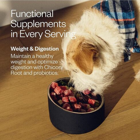 Maev Human-Grade Beef Dog Food, Weight & Digestion Formula, Whole Ingredient, Gluten-Free, High Protein Puppy & Dog Food, 5 lb in Kuwait