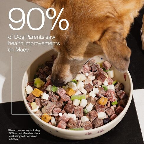 Maev Human-Grade Beef Dog Food, Skin & Coat Formula, Whole Ingredient, Gluten-Free, High Protein Puppy & Dog Food, 5 lb in Kuwait