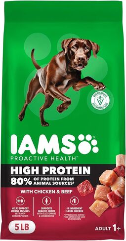 IAMS Proactive Health High Protein Dry Dog Food with Chicken & Beef, 30 lb. Bag in Saudi Arabia