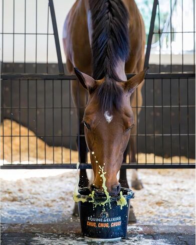 Equine Elixirs Chug Equine Hydration Supplement Electrolyte Powder for Horses Small Size 12 Servings in Saudi Arabia