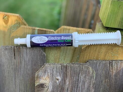Electro-Boost 80ml Oral Electrolyte Paste with Oxy-Cell – Sugar-Free Energy & Hydration Support for Horses, Improves Stamina, Respiration & Performance in Saudi Arabia