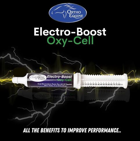 Electro-Boost 80ml Oral Electrolyte Paste with Oxy-Cell – Sugar-Free Energy & Hydration Support for Horses, Improves Stamina, Respiration & Performance in Saudi Arabia