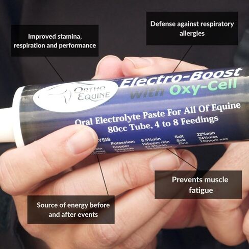 Electro-Boost 80ml Oral Electrolyte Paste with Oxy-Cell – Sugar-Free Energy & Hydration Support for Horses, Improves Stamina, Respiration & Performance in Saudi Arabia