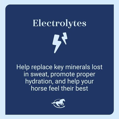 SmartLytes SmartPaks مكمل إلكتروليت لبيليه الحصان | يشجع على الترطيب، ويجدد الشوارد | بدون سكر مضاف | نكهة التفاح والموز | 28 يوم | باكس اليومية in Kuwait