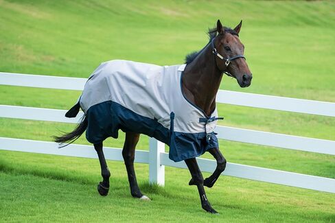 Horse Turnout Rain Sheet | 600 Denier Ripstop Turnout Blanket No Fill (0g) | Waterproof Lightweight Breathable | Tear-Resistant Outer & Rub-Free Silky Inner | Grey/Navy - 78 in in Saudi Arabia