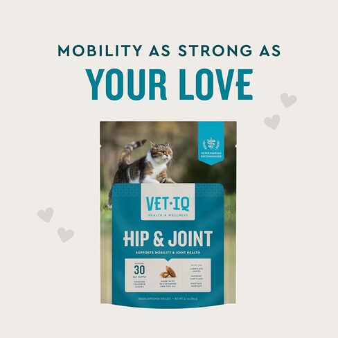 VetIQ Cat Hip & Joint Supplement, Chicken Flavored Cat Supplement with Glucosamine and Green Lipped Mussel for Mobility and Arthritis Support, 3.7oz in Saudi Arabia